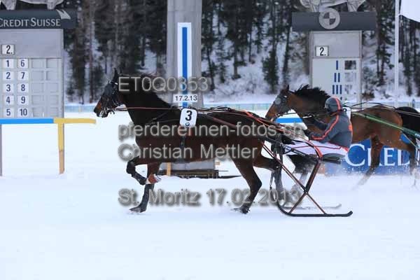 ET0Q0353 prot